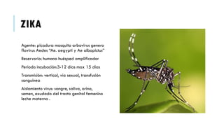 ZIKA
Agente: picadura mosquito arbovirus genero
flavirus Aedes “Ae. aegypti y Ae albopictus”
Reservorio: humano huésped amplificador
Periodo incubación:3-12 días max 15 días
Transmisión: vertical, vía sexual, transfusión
sanguínea
Aislamiento virus: sangre, saliva, orina,
semen, exudado del tracto genital femenino
leche materna .
 