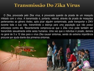 O Zika, provocada pelo Zika vírus, é provocada quando da picada de um mosquito
infetado com o vírus. A transmissão é, portanto, vetorial, através da picada de mosquitos
pertencentes ao gênero Aedes, após picar alguém contaminado, pode transportar o ZIKV
durante toda a sua vida, transmitindo a doença para uma população que não possui
anticorpos contra ele. Recentemente comprovou-se que o Zika vírus pode também ser
transmitido sexualmente entre seres humanos. Uma vez que o indivíduo é picado, demora
no geral de 3 a 12 dias para o vírus Zika causar sintomas, sendo de extrema importância
procurar por ajuda diante dos primeiros sintomas.
 
