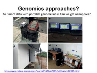 Genomics approaches?
Get more data with portable genome labs? Can we get nanopores?
http://www.nature.com/nature/journal/v530/n7589/full/nature16996.html
 