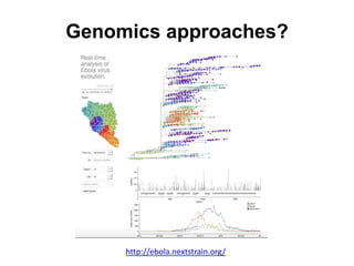 Genomics approaches?
http://ebola.nextstrain.org/
 