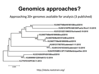 Genomics approaches?
http://ebola.nextstrain.org/
Approaching 20+ genomes available for analysis (3 published)
 