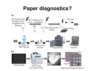 Paper diagnostics?
 