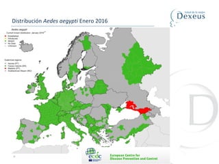 18
Distribución Aedes aegypti Enero 2016
 