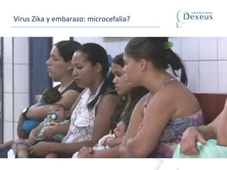 Virus Zika y embarazo: microcefalia?
 