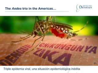 The Aedes trio in the Americas…
Triple epidemia viral, una situación epidemiológica inédita
 