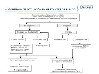 ALGORITMOS DE ACTUACIÓN EN GESTANTES DE RIESGO
 