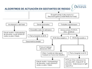 ALGORITMOS DE ACTUACIÓN EN GESTANTES DE RIESGO
 