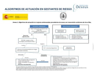 ALGORITMOS DE ACTUACIÓN EN GESTANTES DE RIESGO
 