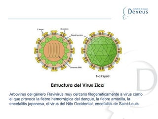 Arbovirus del género Flavivirus muy cercano filogenéticamente a virus como
el que provoca la fiebre hemorrágica del dengue, la fiebre amarilla, la
encefalitis japonesa, el virus del Nilo Occidental, encefalitis de Saint-Louis
 