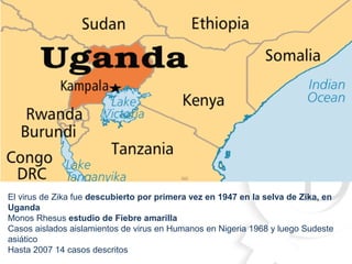 El virus de Zika fue descubierto por primera vez en 1947 en la selva de Zika, en
Uganda
Monos Rhesus estudio de Fiebre amarilla
Casos aislados aislamientos de virus en Humanos en Nigeria 1968 y luego Sudeste
asiático
Hasta 2007 14 casos descritos
 