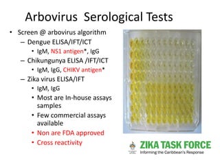 Arbovirus Serological Tests
• Screen @ arbovirus algorithm
– Dengue ELISA/IFT/ICT
• IgM, NS1 antigen*, IgG
– Chikungunya E...