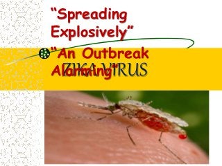 ZIKA VIRUS
“Spreading
Explosively”
“An Outbreak
Alarming”
 