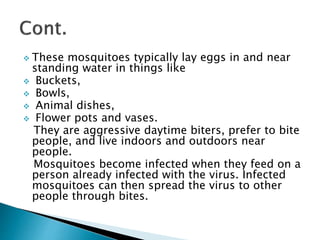  These mosquitoes typically lay eggs in and near
standing water in things like
 Buckets,
 Bowls,
 Animal dishes,
 Flower pots and vases.
They are aggressive daytime biters, prefer to bite
people, and live indoors and outdoors near
people.
Mosquitoes become infected when they feed on a
person already infected with the virus. Infected
mosquitoes can then spread the virus to other
people through bites.
 