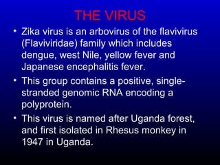 THE VIRUS
• Zika virus is an arbovirus of the flavivirus
(Flaviviridae) family which includes
dengue, west Nile, yellow fever and
Japanese encephalitis fever.
• This group contains a positive, single-
stranded genomic RNA encoding a
polyprotein.
• This virus is named after Uganda forest,
and first isolated in Rhesus monkey in
1947 in Uganda.
 