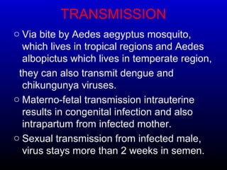 TRANSMISSION
o Via bite by Aedes aegyptus mosquito,
which lives in tropical regions and Aedes
albopictus which lives in temperate region,
they can also transmit dengue and
chikungunya viruses.
o Materno-fetal transmission intrauterine
results in congenital infection and also
intrapartum from infected mother.
o Sexual transmission from infected male,
virus stays more than 2 weeks in semen.
 