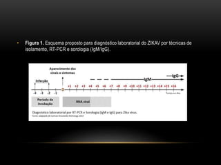 • Figura 1. Esquema proposto para diagnóstico laboratorial do ZIKAV por técnicas de
isolamento, RT-PCR e sorologia (IgM/IgG).
 