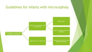Guidelines for infants with microcephaly
Microcephaly or intracranial
calcification prenatally
Positive or inconclusive test
for ZIKA Virus
Report case
Asses for possible long term
sequelae
Negative test for ZIKA Virus
Evaluate and treat for other
possible etiologies
 