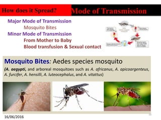 Mosquito Bites: Aedes species mosquito
(A. aegypti, and arboreal mosquitoes such as A. africanus, A. apicoargenteus,
A. furcifer, A. hensilli, A. luteocephalus, and A. vitattus)
10
Mode of TransmissionHow does it Spread?
Major Mode of Transmission
Mosquito Bites
Minor Mode of Transmission
From Mother to Baby
Blood transfusion & Sexual contact
16/06/2016
 