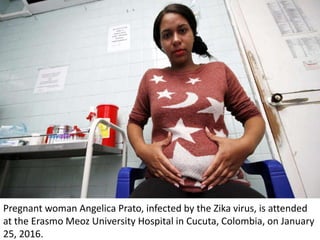 Pregnant woman Angelica Prato, infected by the Zika virus, is attended
at the Erasmo Meoz University Hospital in Cucuta, Colombia, on January
25, 2016.
 