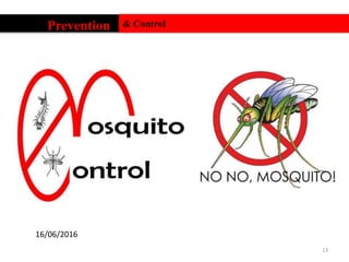 13
Prevention & Control
16/06/2016
 