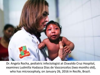 Dr. Angela Rocha, pediatric infectologist at Oswaldo Cruz Hospital,
examines Ludmilla Hadassa Dias de Vasconcelos (two months old),
who has microcephaly, on January 26, 2016 in Recife, Brazil.
 