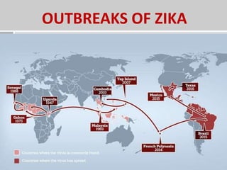 OUTBREAKS OF ZIKA
 