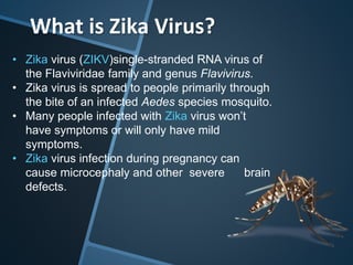 What is Zika Virus?
• Zika virus (ZIKV)single-stranded RNA virus of
the Flaviviridae family and genus Flavivirus.
• Zika virus is spread to people primarily through
the bite of an infected Aedes species mosquito.
• Many people infected with Zika virus won’t
have symptoms or will only have mild
symptoms.
• Zika virus infection during pregnancy can
cause microcephaly and other severe brain
defects.
 