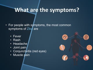 What are the symptoms?
• For people with symptoms, the most common
symptoms of Zika are
• Fever
• Rash
• Headache
• Joint pain
• Conjunctivitis (red eyes)
• Muscle pain
 