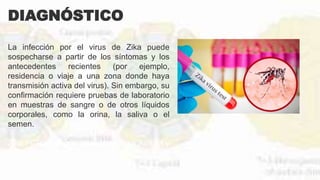DIAGNÓSTICO
La infección por el virus de Zika puede
sospecharse a partir de los síntomas y los
antecedentes recientes (por ejemplo,
residencia o viaje a una zona donde haya
transmisión activa del virus). Sin embargo, su
confirmación requiere pruebas de laboratorio
en muestras de sangre o de otros líquidos
corporales, como la orina, la saliva o el
semen.
Zika PCR en tiempo real, Virus Zika Ac IgM y
el Virus Zika IgG.
 
