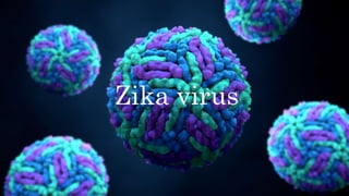 Zika virus
 