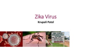 Zika Virus
Krupali Patel
 