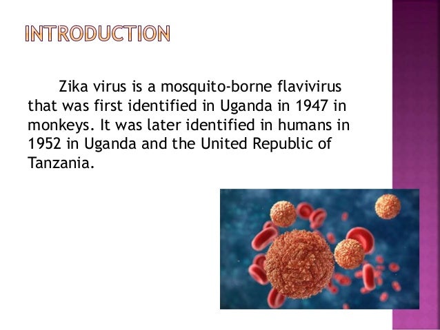 Zika virus is a mosquito-borne flavivirus
that was first identified in Uganda in 1947 in
monkeys. It was later identified in humans in
1952 in Uganda and the United Republic of
Tanzania.
 