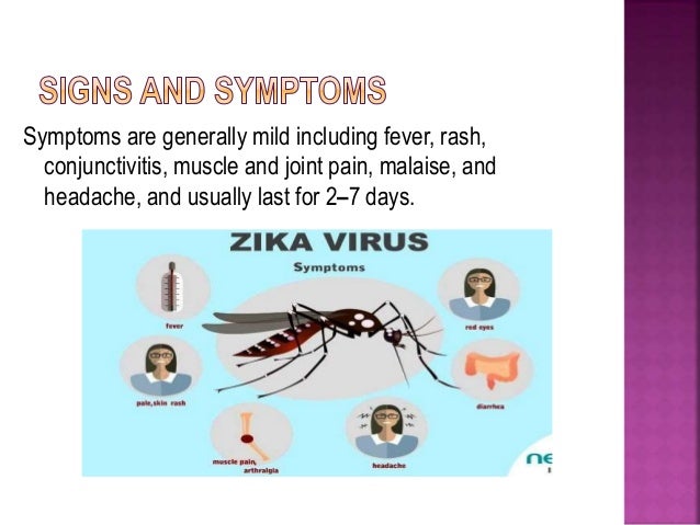 Symptoms are generally mild including fever, rash,
conjunctivitis, muscle and joint pain, malaise, and
headache, and usually last for 2–7 days.
 