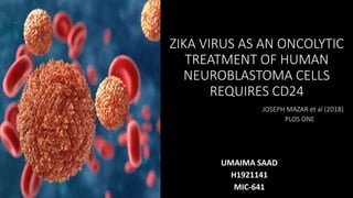 ZIKA VIRUS AS AN ONCOLYTIC
TREATMENT OF HUMAN
NEUROBLASTOMA CELLS
REQUIRES CD24
JOSEPH MAZAR et al (2018)
PLOS ONE
UMAIMA SAAD
H1921141
MIC-641
 