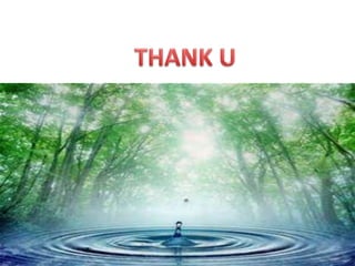 Zika virus - complete picture