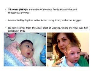 • Zika virus (ZIKV) is a member of the virus family Flaviviridae and
the genus Flavivirus
• transmitted by daytime active Aedes mosquitoes, such as A. Aegypti
• Its name comes from the Zika Forest of Uganda, where the virus was first
isolated in 1947
 