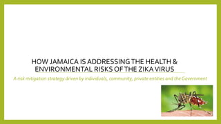 HOW JAMAICA IS ADDRESSINGTHE HEALTH &
ENVIRONMENTAL RISKS OFTHE ZIKAVIRUS
A risk mitigation strategy driven by individuals, community, private entities and the Government
 