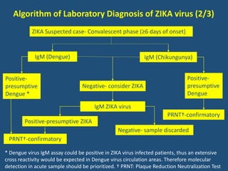 Zika Testing Algorithm Zika virus lab diagnosis | PPTX