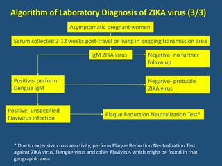 Zika Testing Algorithm Zika virus lab diagnosis | PPTX