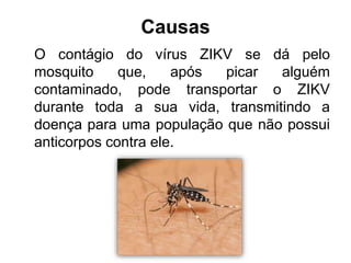 Causas
O contágio do vírus ZIKV se dá pelo
mosquito que, após picar alguém
contaminado, pode transportar o ZIKV
durante toda a sua vida, transmitindo a
doença para uma população que não possui
anticorpos contra ele.
 