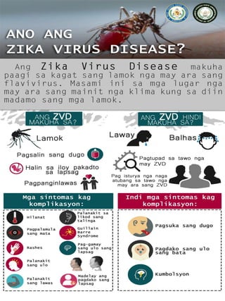 Zika Informational Pamphlet