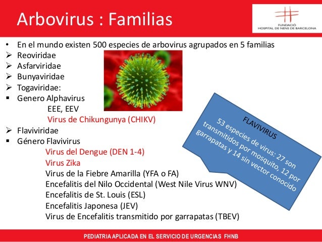 Enfermedades transmitidas por arbovirus: zika, chikungunya Enfermedades transmitidas por arbovirus: zika, chikungunya