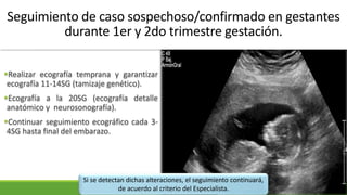 Seguimiento de caso sospechoso/confirmado en gestantes
durante 1er y 2do trimestre gestación.
Realizar ecografía temprana y garantizar
ecografía 11-14SG (tamizaje genético).
Ecografía a la 20SG (ecografía detalle
anatómico y neurosonografía).
Continuar seguimiento ecográfico cada 3-
4SG hasta final del embarazo.
Si se detectan dichas alteraciones, el seguimiento continuará,
de acuerdo al criterio del Especialista.
 