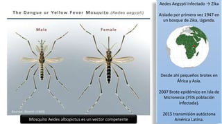 Aedes Aegypti infectado → Zika
Aislado por primera vez 1947 en
un bosque de Zika, Uganda.
Desde ahí pequeños brotes en
África y Asia.
2007 Brote epidémico en Isla de
Micronesia (75% población
infectada).
2015 transmisión autóctona
América Latina.Mosquito Aedes albopictus es un vector competente
*
 
