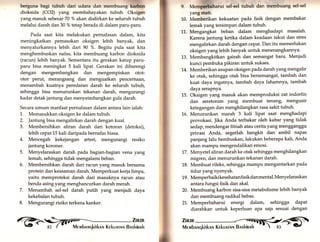 berguna bagi tubuh clari udara dan membuarng karbon 
clioksida (CO2) yang membahayakan tubuh. Oksigen 
yang masuk sebesar 70 % akan dialirkan ke seluruh tubuh 
melalui darah dan 30 % tetap berada di dalam paru-paru. 
Pada saat kita melakukan pernafasan dalam, kita 
meningkatkan pemasokan oksigen lebih banyak, dan 
menyalurkannya lebih dari 90 %. Begitu pula saat kita 
menghembuskan nafas, kita membuang karbon dioksida 
(racun) lebih banyak. Sementara itu gerakan katup paru-paru 
bisa meningkat 5 kali lipat. Gerakan ini dibarengi 
dengan mengembangkan dan mengempiskan otot-otor 
perut, merangsang dan menguatkan pencernaan, 
menambah kuatnya peredaran darah ke seluruh tubuh, 
sehingga bisa menurunkan tekanan darah, mengurangi 
kadar detak jantung dan menyeimbangkan gula darah. 
Secara umum manfaat pernafasan dalam antara lain ialah: 
1. Memasukkan oksigen ke dalam tubuh. 
2. Jantung bisa mengalirkan darah dengan kuat. 
3. Membersihkan aliran darah dari kotoran (detoksi), 
lebih cepat 15 kali daripada bernafas biasa. 
4. Mencegah kekejangan arteri, mengurangi resiko 
jantung koroner. 
5. Menyelaraskan darah pada bagian-bagian vena yang 
lemah, sehingga tidak mengalami beban. 
6. Membersihkan darah dari racun yang masuk bersama 
protein dan keasaman darah. Memperkuat kerja limpa, 
yaitu memproteksi darah dari masuknya racun atau 
benda asing yang menghancurkan darah merah. 
7. Menambah sel-sel darah putih yang menjadi daya 
kekebalan tubuh. 
8. Mengurangi risiko terkena kanker. 
9, Mt'nrpcrbaharui sel-sel tubuh dan membuang sel-sel 
yang mati. 
Memberikan kekuatan pada fisik dengan membakar 
lemak yang tersimpan dalam tubuh. 
Mengangkat beban dalam menghadapi masalah. 
Karena jantung ketika dalam keadaan takut dan stres 
mengalirkan darah dengan cepat. Dan itu memerlukan 
oksigen yang lebih banyak untuk menenangkannya. 
Membangkitkan gairah dan semangat baru. Menjadi 
kunci pembuka pikiran untuk sukses. 
Memberikan asupan oksigen pada darah yangmengalir 
ke otak, sehingga otak bisa bersemangat, tambah dan 
kuat daya ingatnya, tambah daya fahamnya, tambah 
daya serapnya. 
Oksigen yang masuk akan memproduksi zat indorfin 
dan seretonim yarrg membuat tenang, mengusir 
ketegangan dan menghilangkan rasa sakit tubuh. 
Menurunkan marah 3 kali lipat saat menghadapi 
provokasi. Jika Anda terbakar oleh kabar yang tidak 
sedap, mendengar fitnah atau cerita yangmengganggu 
privasi Anda, segerlah bangkit dan ambil napas 
panjang lalu hembuskan, lakukan beberapa kali, Anda 
akan mampu mengendalikan emosi. 
Menyetel aliran darah ke otak sehingga menghilangkan 
migren, dan menurunkan tekanan darah. 
Membuat rileks, sehingga mamPu mengantarkan pada 
tidur yangnyenyak. 
Memperbaiki kesehatanfisik danmental. Menyelaraskan 
antara fungsi fisik dan akal. 
Membuang karbon sisa-sisa metabolisme lebih banyak 
dan membuang radikal bebas. 
21. Memperbaharui energi dalam, sehingga dapat 
diarahkan untuk keperluan apa saja sesuai dengan 
10. 
11. 
13. 
1.4. 
15. 
1,6. 
L7. 
18. 
19. 
20. 
@r ifix 
 