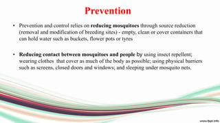 Prevention
• Prevention and control relies on reducing mosquitoes through source reduction
(removal and modification of breeding sites) - empty, clean or cover containers that
can hold water such as buckets, flower pots or tyres
• Reducing contact between mosquitoes and people by using insect repellent;
wearing clothes that cover as much of the body as possible; using physical barriers
such as screens, closed doors and windows; and sleeping under mosquito nets.
 