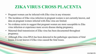 ZIKA VIRUS CROSS PLACENTA
• Pregnant women can be infected with Zika virus in any trimester.
• The incidence of Zika virus infection in pregnant women is not currently known, and
data on pregnant women infected with Zika virus are limited.
• No evidence exists to suggest that pregnant women are more susceptible to Zika
virus infection or experience more severe disease during pregnancy.
• Maternal-fetal transmission of Zika virus has been documented throughout
pregnancy.
• Although Zika virus RNA has been detected in the pathologic specimens of fetal
losses, it is not known if Zika virus caused the fetal losses.
 