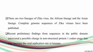 There are two lineages of Zika virus, the African lineage and the Asian
lineage. Complete genome sequences of Zika viruses have been
published.
Recent preliminary findings from sequences in the public domain
uncovered a possible change in non-structural protein 1 codon usage that
may increase the viral replication rate in humans
 