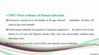 1952- First evidence of human infection
 Serosurvey carried out in 84 people of all ages showed antibodies, all above 40
years of age were immune
 Following an outbreak investigation of jaundice suspected to be yellow fever in the
blood of a 10 year old Nigerian female, Zika virus was successfully isolated using
laboratory mice.
 Infection was proven by a rise in Zika virus specific serum antibodies
 