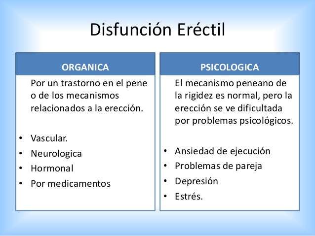 Para Q Sildenafil